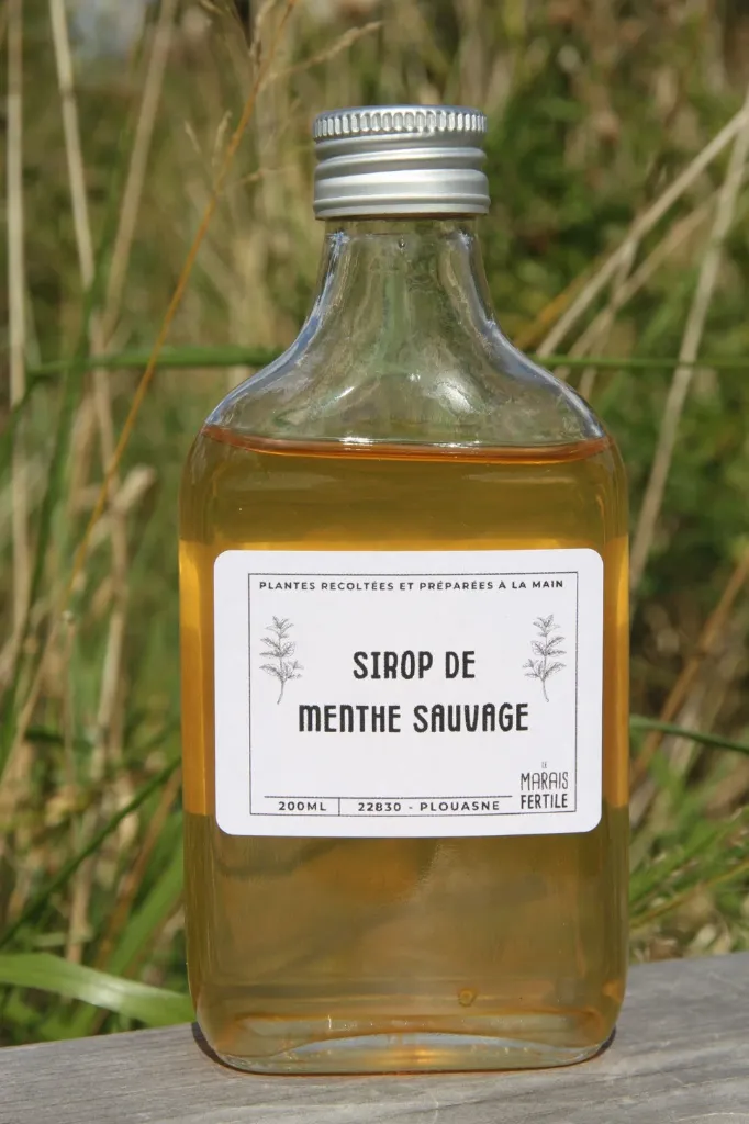 Sirop de menthe sauvage