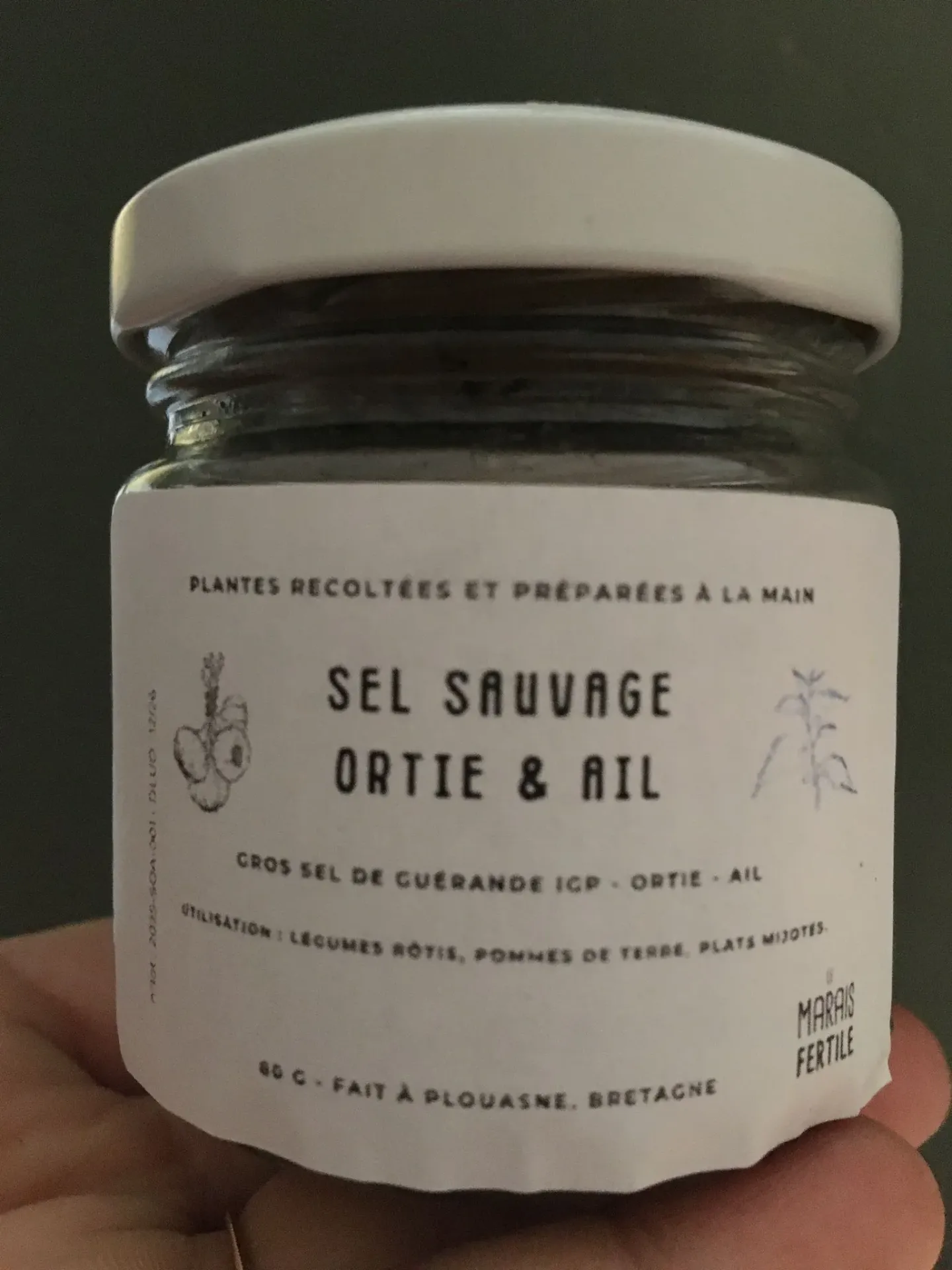 Sel ortie et ail