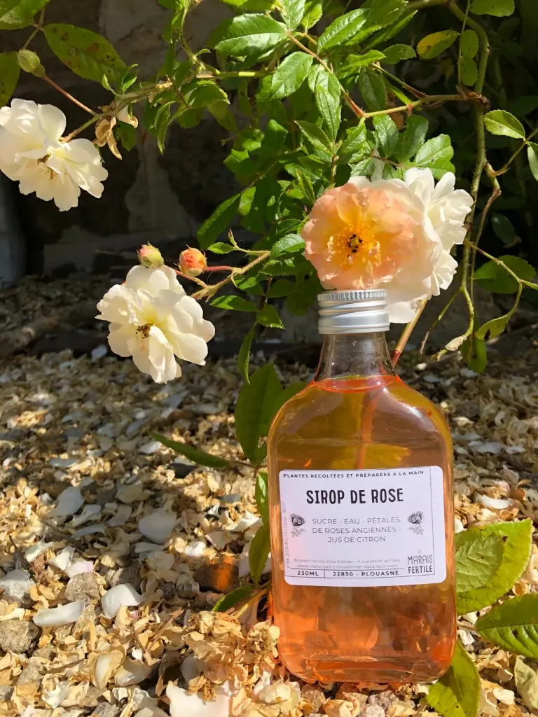 Sirop de Rose